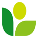 Papel de aluminio Co., Ltd de Guangzhou